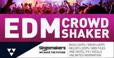 Edm crowd shaker 1000x512 web