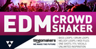 EDM Crowd Shaker