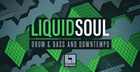 Liquidsoul Drum & Bass and Half tempo