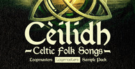 Celtic fiddle   guitar samples rectangle