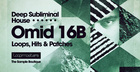 Omid 16B - Deep Subliminal House