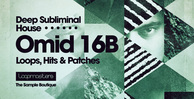 Omid 16b   deep subliminal house music  perc   top loops