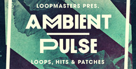 Ambient pulse downtempo guitars and bass sounds