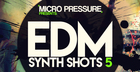 EDM Synth Shots 5