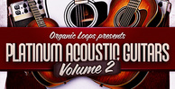 Platinum acoustic guitars 2  guitar session players  acoustic guitar riffs  rectangle