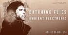Catching Flies - Ambient Electronic