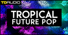 TD Audio - Tropical Future Pop
