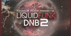 Liquid Funk DnB Vol 2