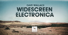 Dave Wallace Widescreen Electronica