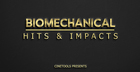 Biomechanical Hits & Impacts