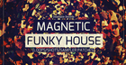 Magnetic Funky House