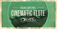 Royalty free flute samples  cinematic flute loops  film scores  silver flute sounds  rectangle
