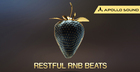 Restful RnB Beats