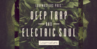 Deep Trap & Electric Soul
