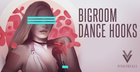 Bigroom Dance Hooks