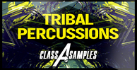 Cas tribal percussions 1000 512