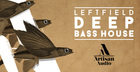Leftfield Deep Bass House