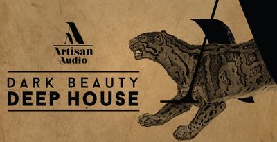 Deep house bass loops  melodic house loops  atmospheric house leads  house beats  one shots for house  deep house percussion rect