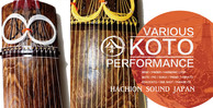 Koto strings japanese instrument banner