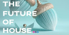 The Future Of House