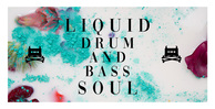 Liquid drum and bass soul sounds royalty free 512 web