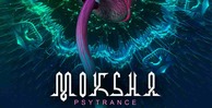 Moksha production master psytrance 512 psy loops
