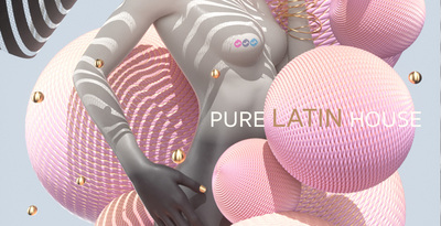Pure latin house sounds 512 web