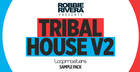 Robbie Rivera - Tribal House 2