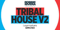 Royalty free tribal house samples  house drum and synth loops  deep percussion grooves rectangle