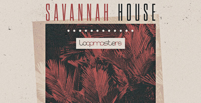 Royalty free house samples  synth chord progressions  house bass and drum loops  ibiza sounds  house synth   piano rectangle