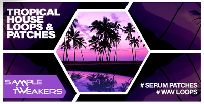 Sample tweakers   tropical house loops   patches 1000 512 web