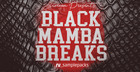 Black Mamba Breaks