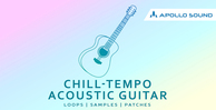 Chilltempo acoustic guitar samples 1000x512 web