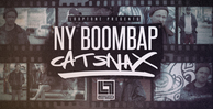 Looptone ny boombap 1000 x 512