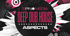 Deep Dub House Aspects