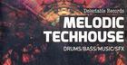 Melodic TechHouse 01