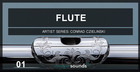 Image Sounds Present - Flute