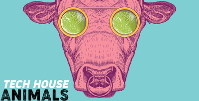 Sharp   tech house animals samples royalty free 512 web