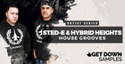 Sted-E & Hybrid Heights - House Grooves
