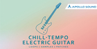 Chill-Tempo Electric Guitar
