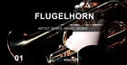 Image Sound Presents - Flugel Horn 1