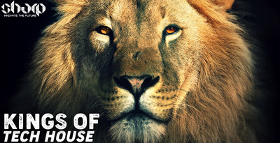 Kings of tech house 512 web