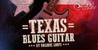 Texas Blues Guitars