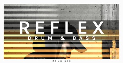 Reflexdnb banner