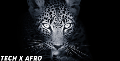 Sharp   tech x afro 512 web