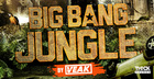 Big Bang Jungle by Veak