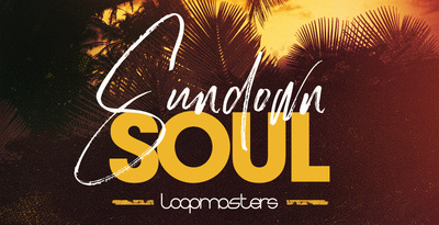 Royalty free soul samples  acoustic guitars and grooving basslines  live soul drum loops  percussion and keys loops  electric guitar sounds rectangle