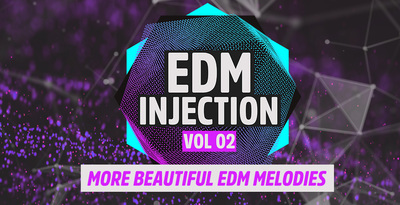 Preview gallery loopmasters 1000x512