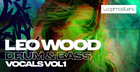 Leo Wood - Drum & Bass Vocals Vol. 1