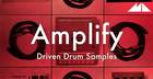 Amplify - Driven Drum Samples